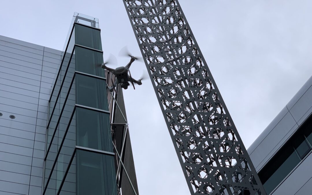 20190221_055602238_iOS